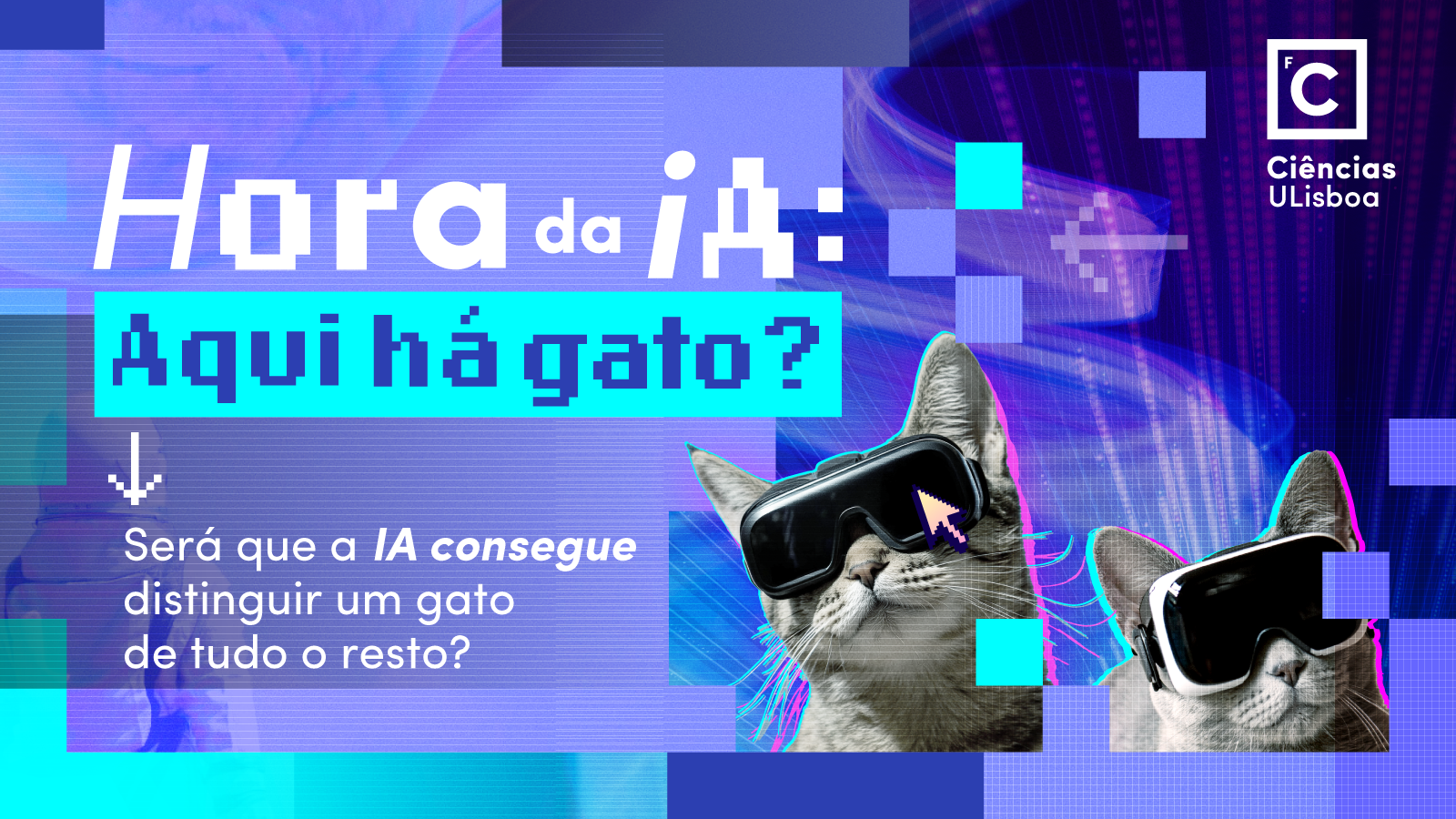 Banner Aqui há gato?
